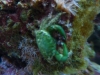 p1040152