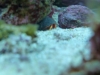 p1040154