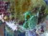 p1040155